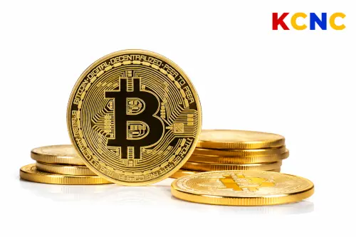 Peter Schiff: Pesta Bitcoin Selesai, Bersiap Untuk Gelombang Jual yang Lebih Besar