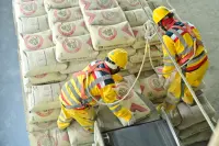 SIG Andalkan Ekosistem Bisnis dan Distribusi untuk Dorong Pertumbuhan