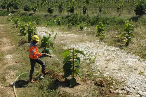 Strategi ESG SIG Dorong Efisiensi dan Tekan Emisi
